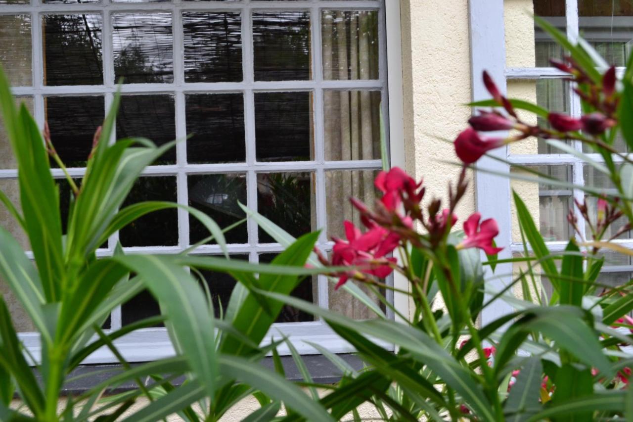 Bed and Breakfast Maison D'Hotes La Chouanniere Les Bois-d'Anjou Exteriér fotografie