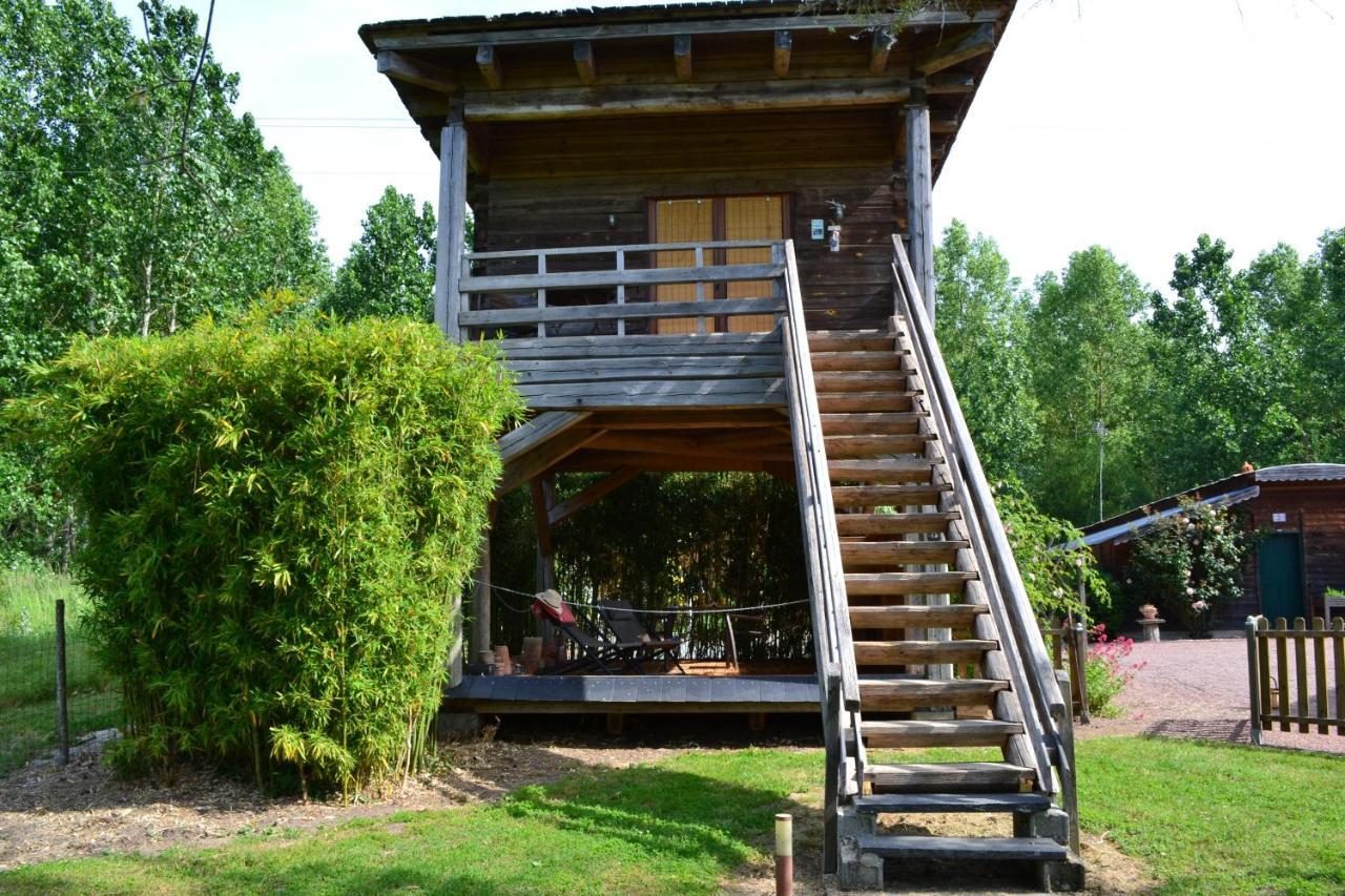 Bed and Breakfast Maison D'Hotes La Chouanniere Les Bois-d'Anjou Exteriér fotografie