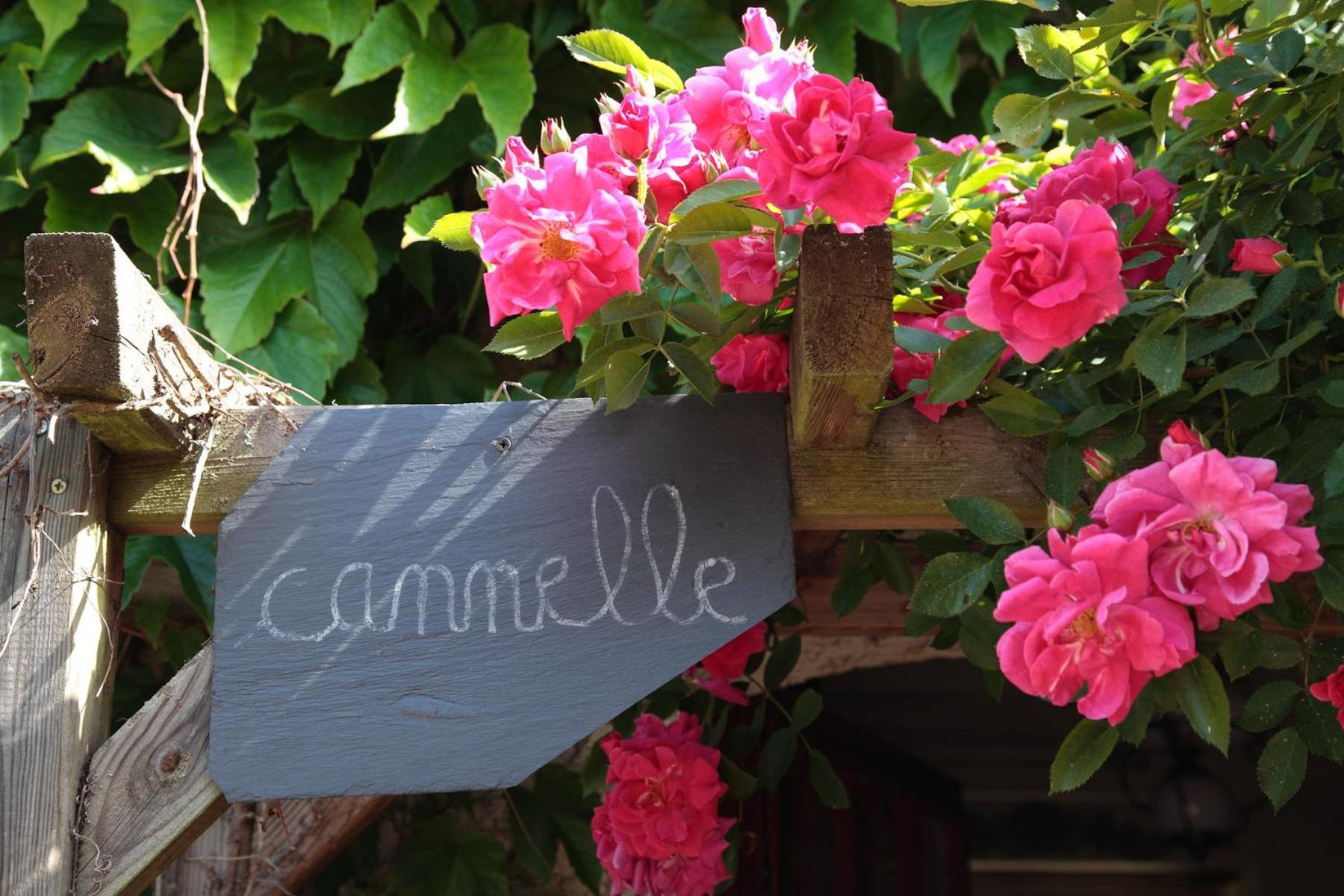 Bed and Breakfast Maison D'Hotes La Chouanniere Les Bois-d'Anjou Exteriér fotografie